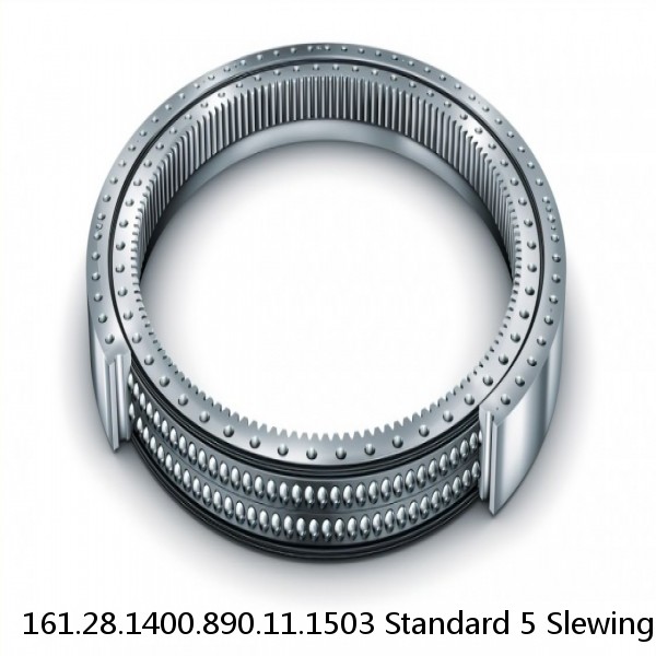 161.28.1400.890.11.1503 Standard 5 Slewing Ring Bearings