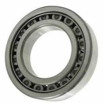 Chinese Manufactory of Cylindrical Roller Bearing (NJ 206 E)