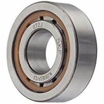 Nu/Nj/N/Nup/203 Motorcycle/Auto Parts Cylindrical Roller Bearing