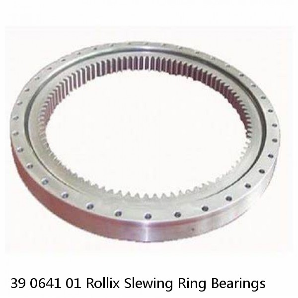 39 0641 01 Rollix Slewing Ring Bearings