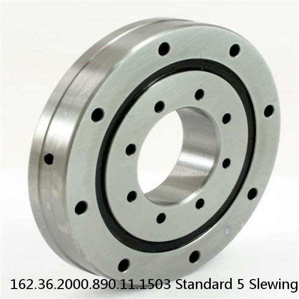 162.36.2000.890.11.1503 Standard 5 Slewing Ring Bearings