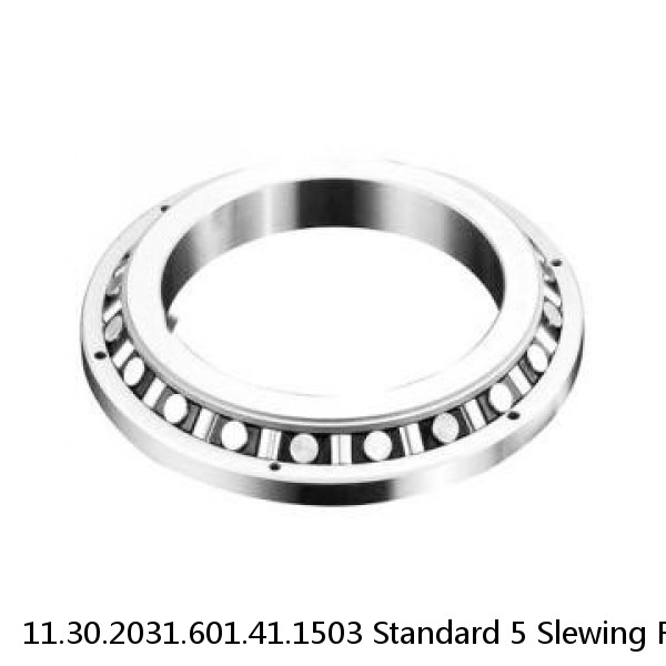 11.30.2031.601.41.1503 Standard 5 Slewing Ring Bearings