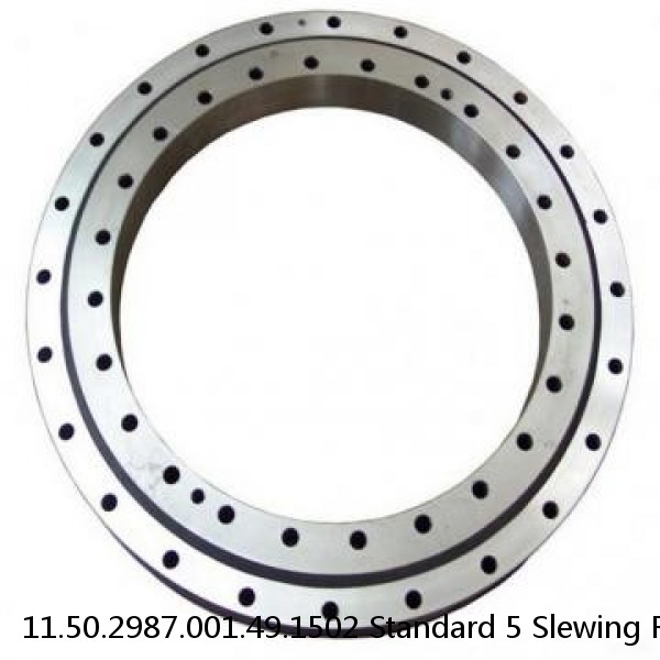 11.50.2987.001.49.1502 Standard 5 Slewing Ring Bearings