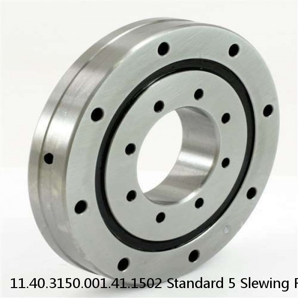 11.40.3150.001.41.1502 Standard 5 Slewing Ring Bearings