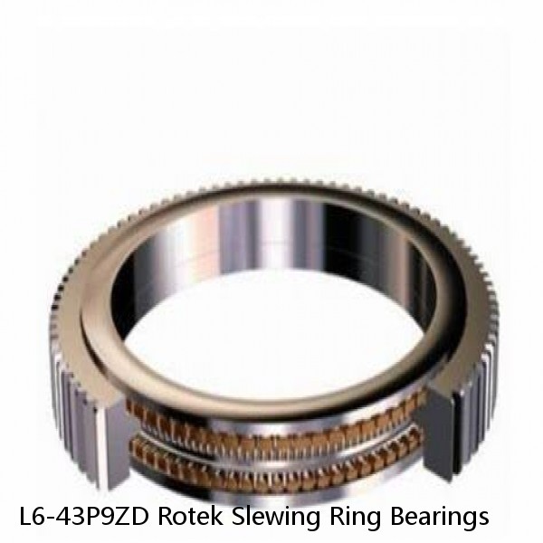 L6-43P9ZD Rotek Slewing Ring Bearings