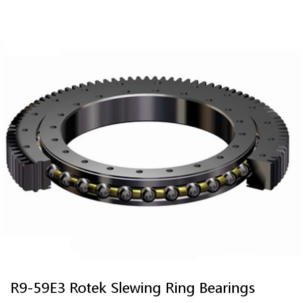 R9-59E3 Rotek Slewing Ring Bearings