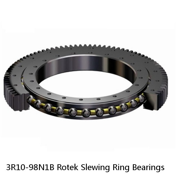 3R10-98N1B Rotek Slewing Ring Bearings