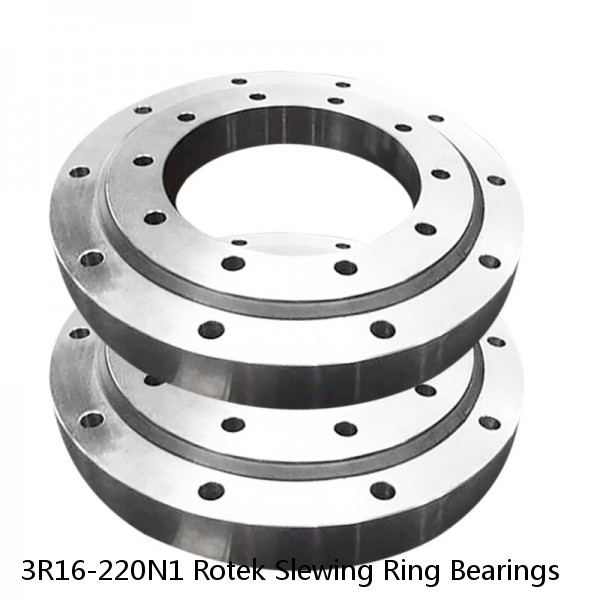 3R16-220N1 Rotek Slewing Ring Bearings