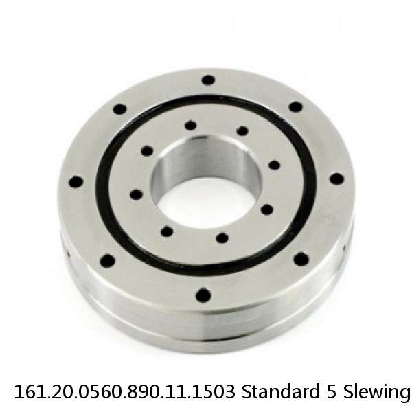 161.20.0560.890.11.1503 Standard 5 Slewing Ring Bearings