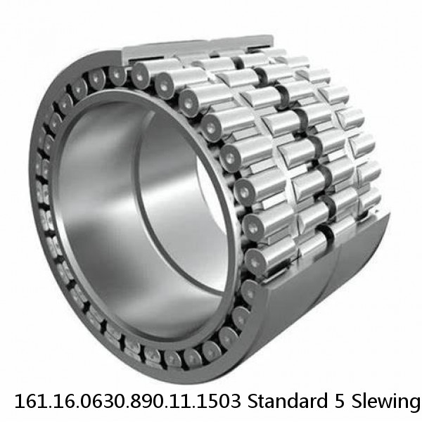 161.16.0630.890.11.1503 Standard 5 Slewing Ring Bearings