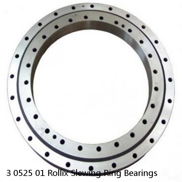 3 0525 01 Rollix Slewing Ring Bearings