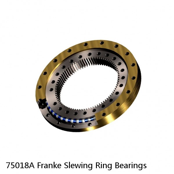 75018A Franke Slewing Ring Bearings