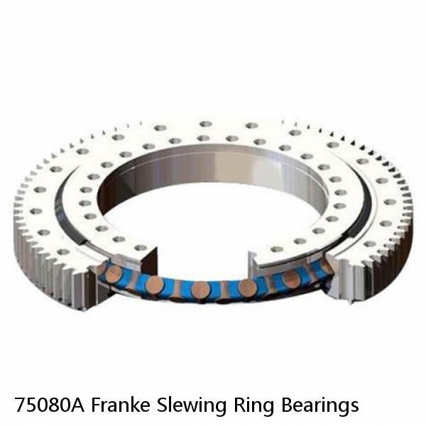 75080A Franke Slewing Ring Bearings