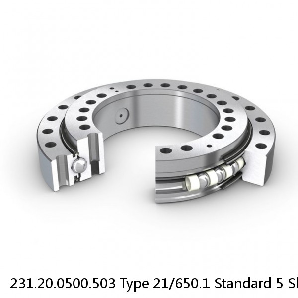 231.20.0500.503 Type 21/650.1 Standard 5 Slewing Ring Bearings