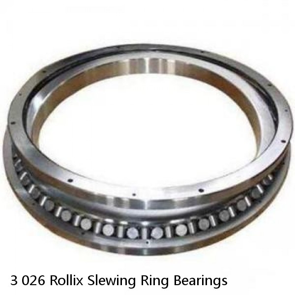 3 026 Rollix Slewing Ring Bearings