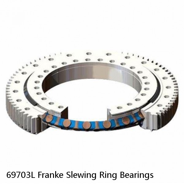 69703L Franke Slewing Ring Bearings