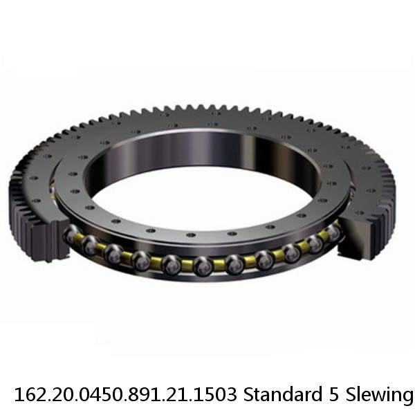 162.20.0450.891.21.1503 Standard 5 Slewing Ring Bearings