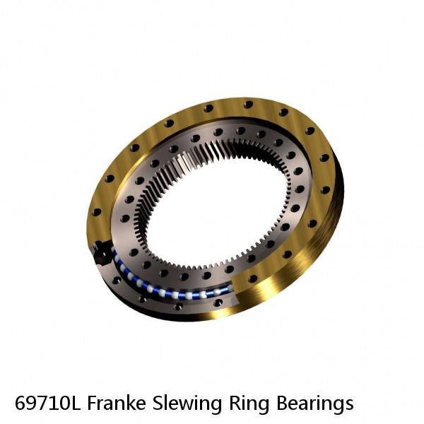 69710L Franke Slewing Ring Bearings