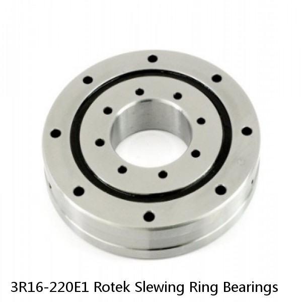 3R16-220E1 Rotek Slewing Ring Bearings