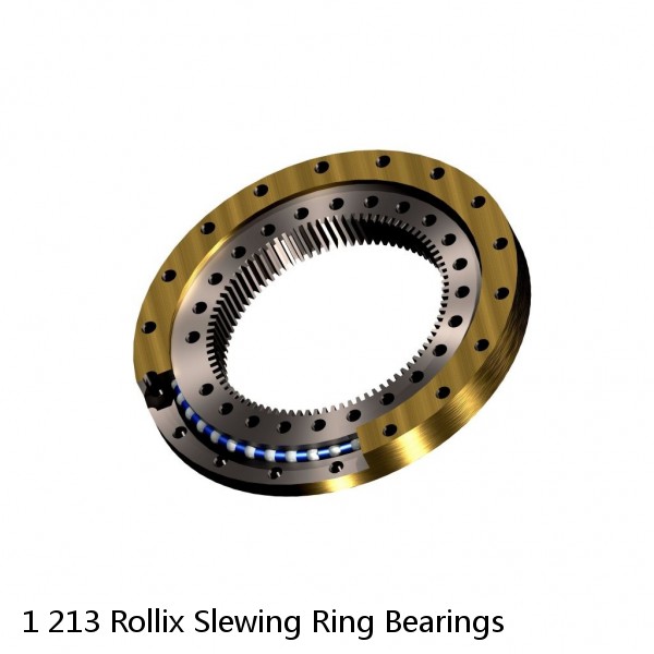 1 213 Rollix Slewing Ring Bearings