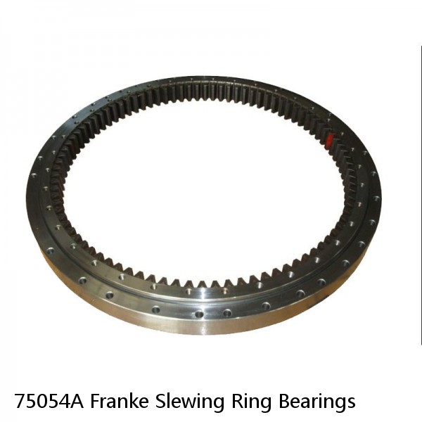 75054A Franke Slewing Ring Bearings