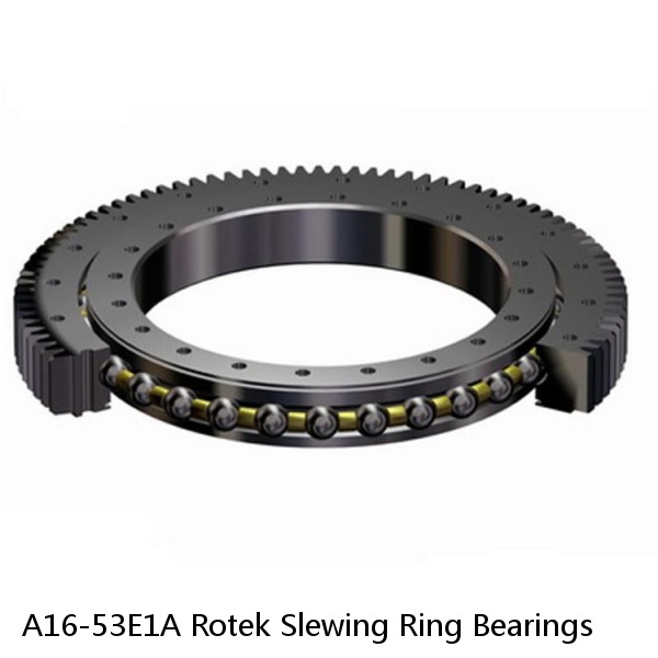 A16-53E1A Rotek Slewing Ring Bearings