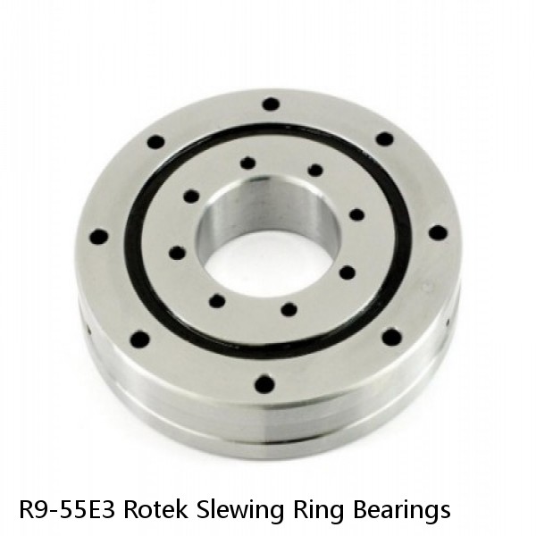 R9-55E3 Rotek Slewing Ring Bearings