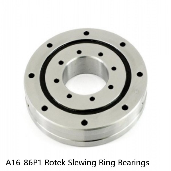 A16-86P1 Rotek Slewing Ring Bearings