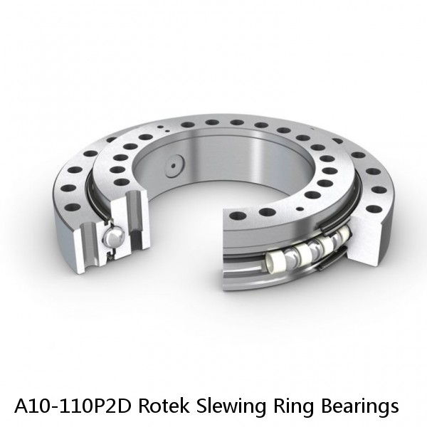 A10-110P2D Rotek Slewing Ring Bearings