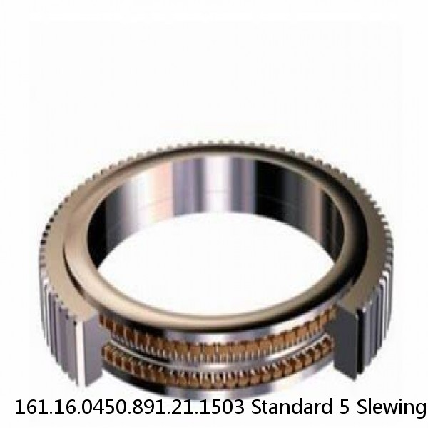 161.16.0450.891.21.1503 Standard 5 Slewing Ring Bearings