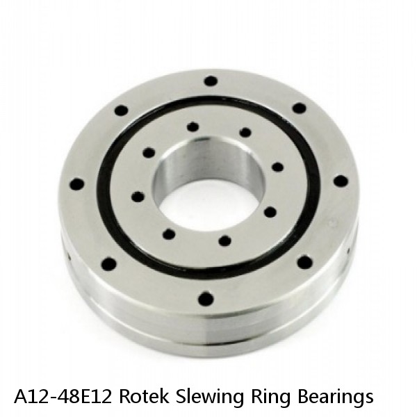 A12-48E12 Rotek Slewing Ring Bearings