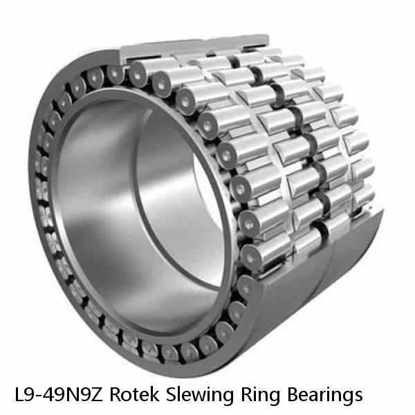 L9-49N9Z Rotek Slewing Ring Bearings