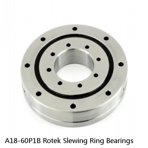 A18-60P1B Rotek Slewing Ring Bearings