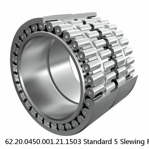 62.20.0450.001.21.1503 Standard 5 Slewing Ring Bearings