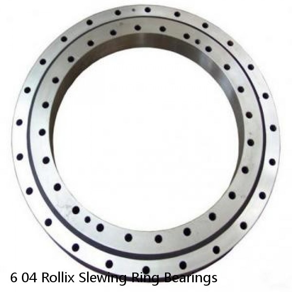 6 04 Rollix Slewing Ring Bearings