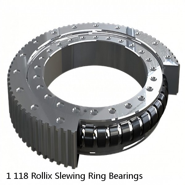 1 118 Rollix Slewing Ring Bearings