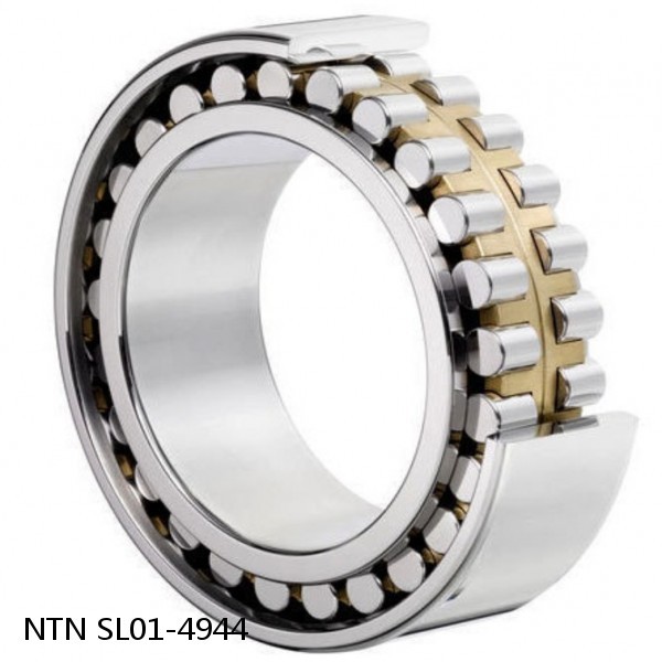 SL01-4944 NTN Cylindrical Roller Bearing